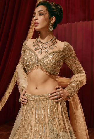 Ivy gold lehenga set