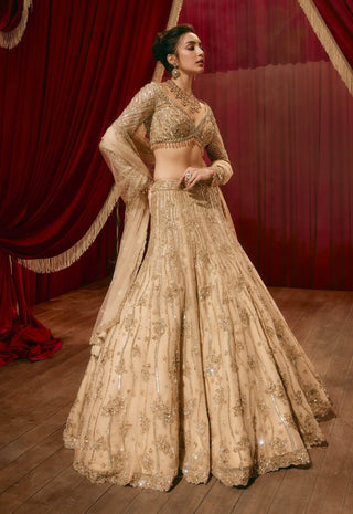 Ivy gold lehenga set