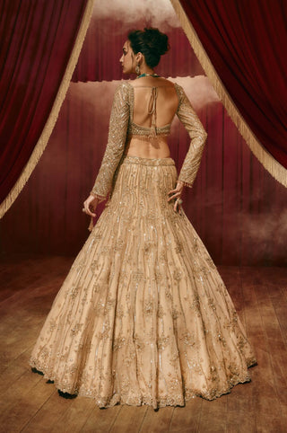 Ivy gold lehenga set