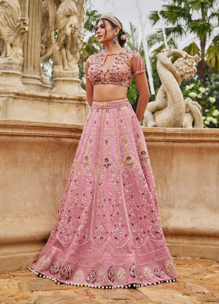 Flamingo flounce lehenga set