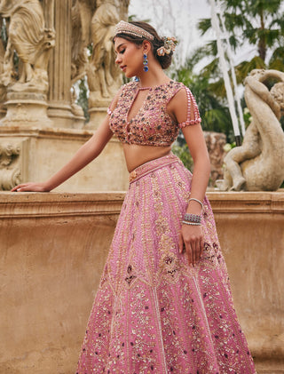 Flamingo flounce lehenga set