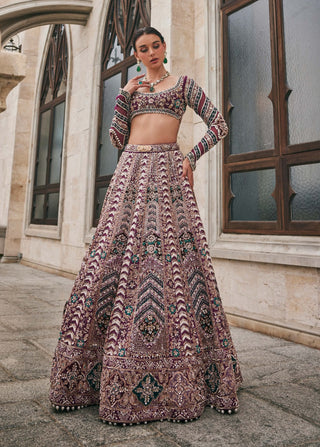 Wisper of wine lehenga set