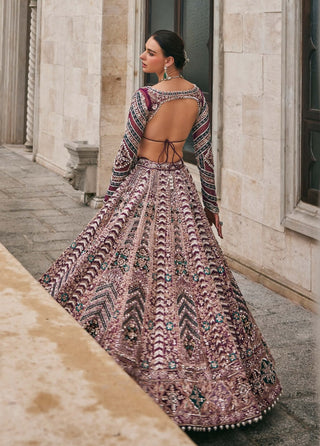 Wisper of wine lehenga set