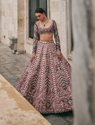 Wisper of wine lehenga set