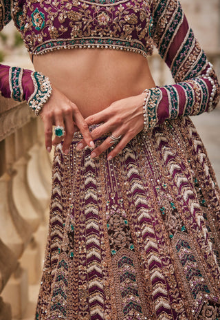 Wisper of wine lehenga set