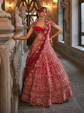 Swans of siam lehenga set