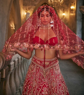 Swans of siam lehenga set