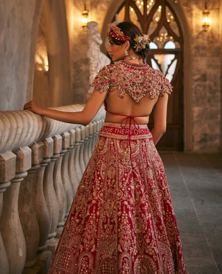 Swans of siam lehenga set