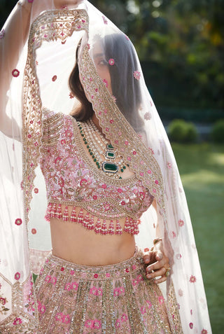 Jazira pink lehenga set