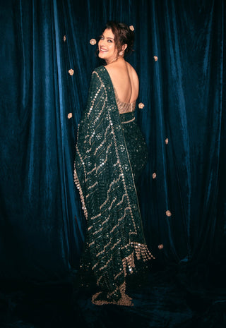 Green vanamala chikankari sari and blouse