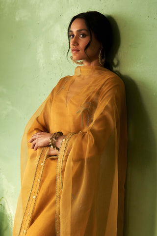 Mustard straight kurta set