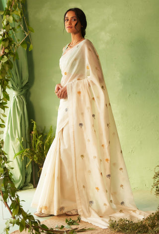 Off-white chanderi sari and tea green blouse