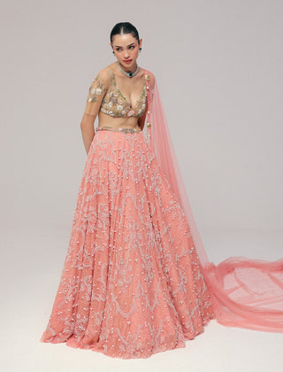 Pink pearl shell embroidered lehenga set