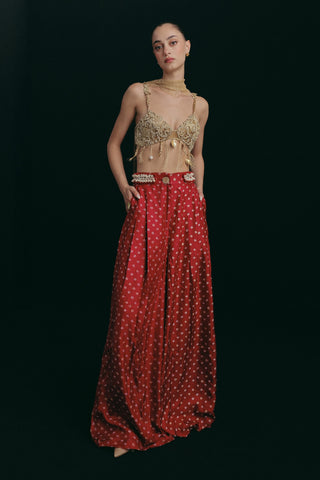 Red silk blouse and trousers
