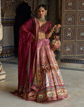 Nehmat pink lehenga set