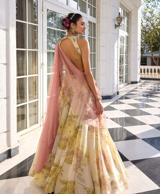 Juliette ecru lehenga set