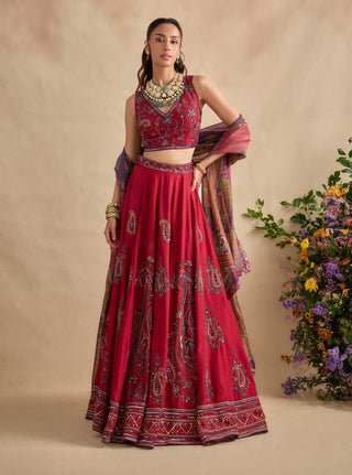 Aashna magenta red lehenga set