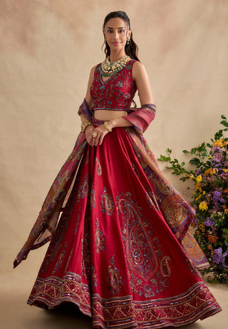 Aashna magenta red lehenga set
