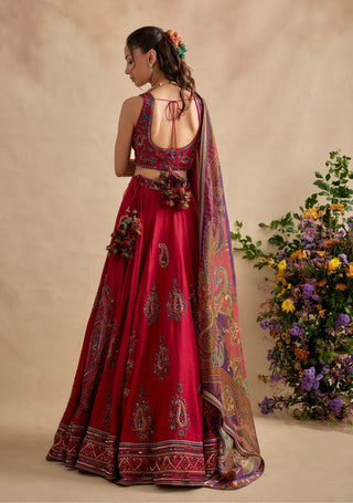 Aashna magenta red lehenga set