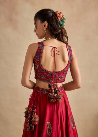 Aashna magenta red lehenga set