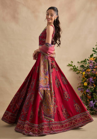 Aashna magenta red lehenga set