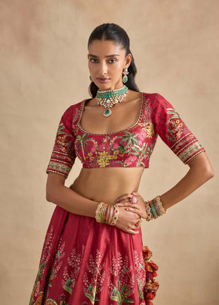 Saranya carime red lehenga set