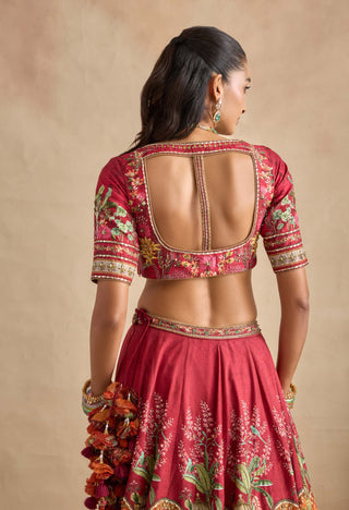 Saranya carime red lehenga set