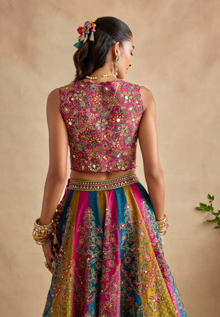 Ravika multicolor lehenga set