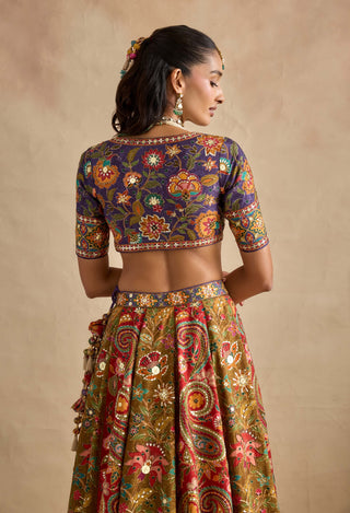 Prisha multicolor lehenga set