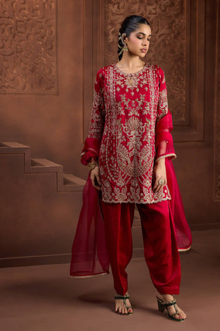Padma jyoti red kurta and farsi salwar set