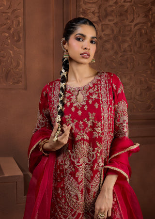 Padma jyoti red kurta and farsi salwar set