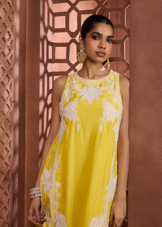 Hamsa pushpa yellow kurta and pant