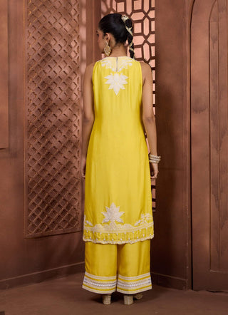 Hamsa pushpa yellow kurta and pant