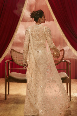 Laura gold drape sari with jacket