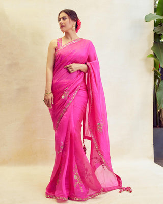 Classic gulabi sari and blouse