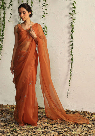 Charkhee-Spice Orange Sari And Blouse-INDIASPOPUP.COM