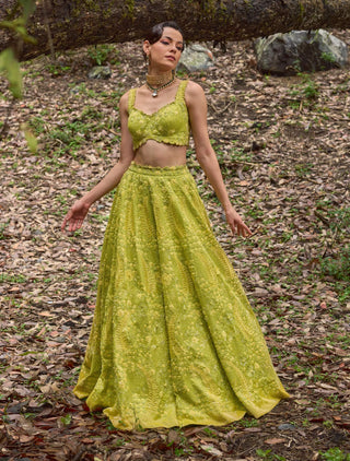 Moss green lehenga set