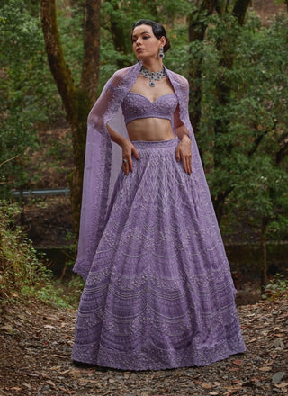 Wisteria lilac lehenga set