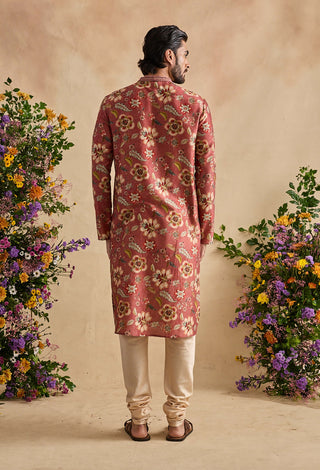 Zian chestnut kurta with churidar