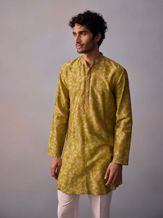 Mihir Olive Green Kurta And Pants by Kalista Men available on Indiaspopup.com