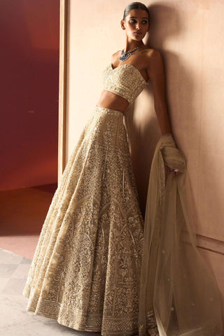 Modern royalty ekru lehenga set