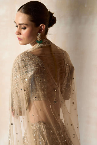 New sheeshbagh matsya ekru lehenga set