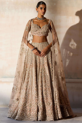 Aztec zardozi faded apricot lehenga set