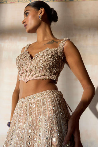 Aztec zardozi faded apricot lehenga set