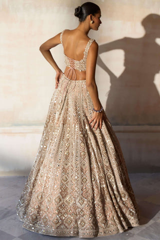 Aztec zardozi faded apricot lehenga set