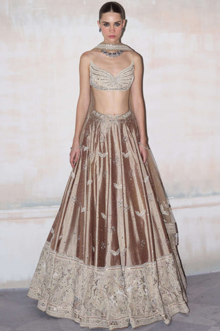 Wild matsya champagne on silk lehenga set