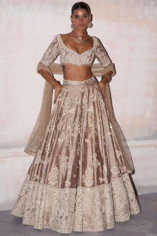 New royal masai champagne on silk lehenga set