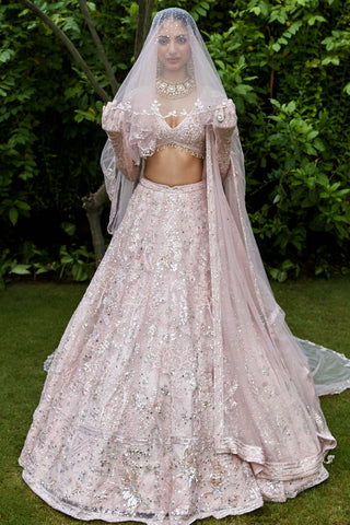 Silent garden tulle pink lehenga set