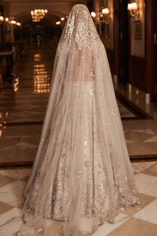 Vintage royal naze lehenga set