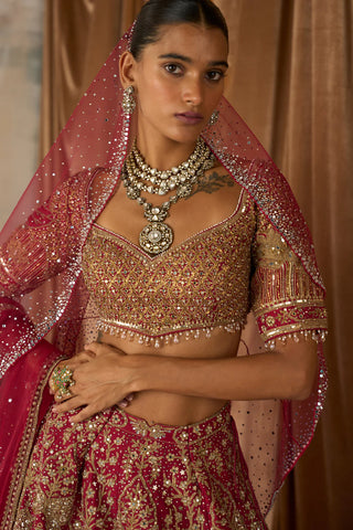Vintage lotus pond scarlet lehenga set